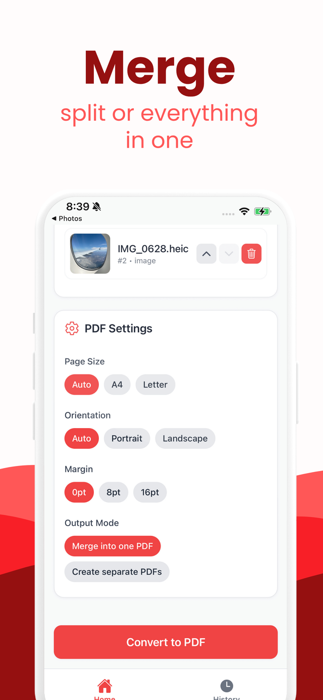 PDF settings for page size, orientation, margins, and merging into one PDF or separate files